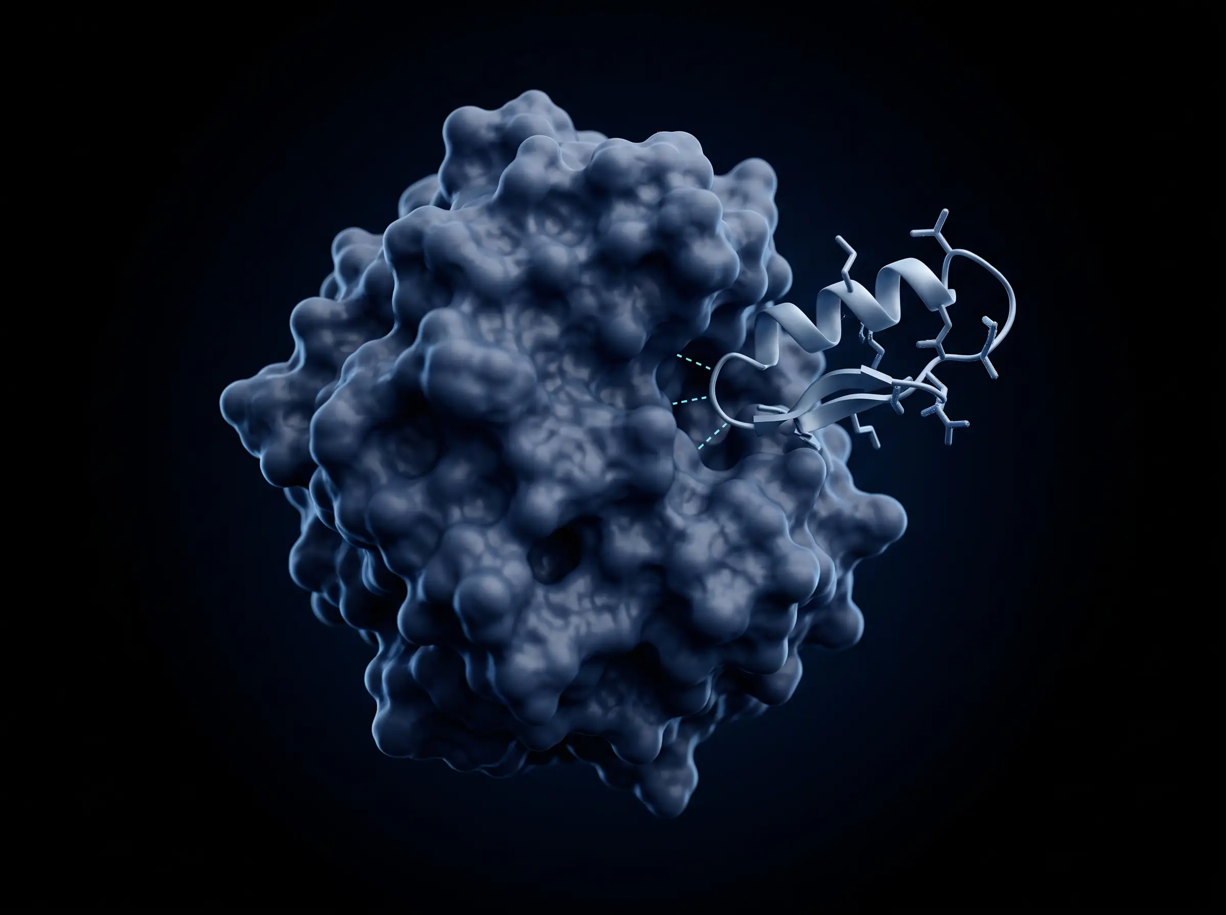 A folded peptide binder fits into a complementary pocket in a textured blue protein surface.